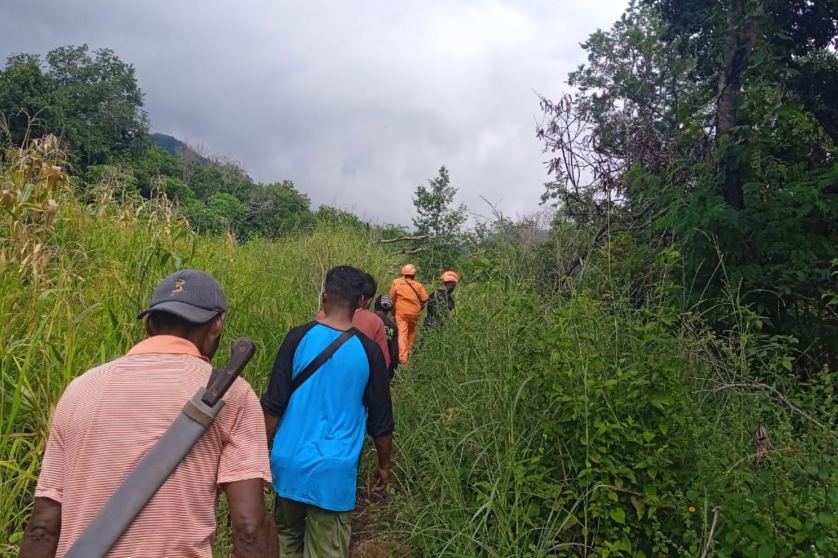 Tim SAR perluas pencarian seorang nenek hilang di Sikka NTT