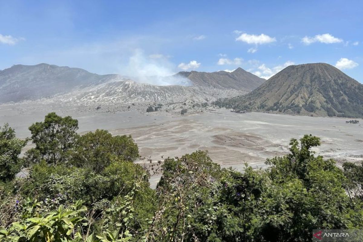 Ini penjelasan terkait mobil pribadi masuk kawasan wisata Bromo