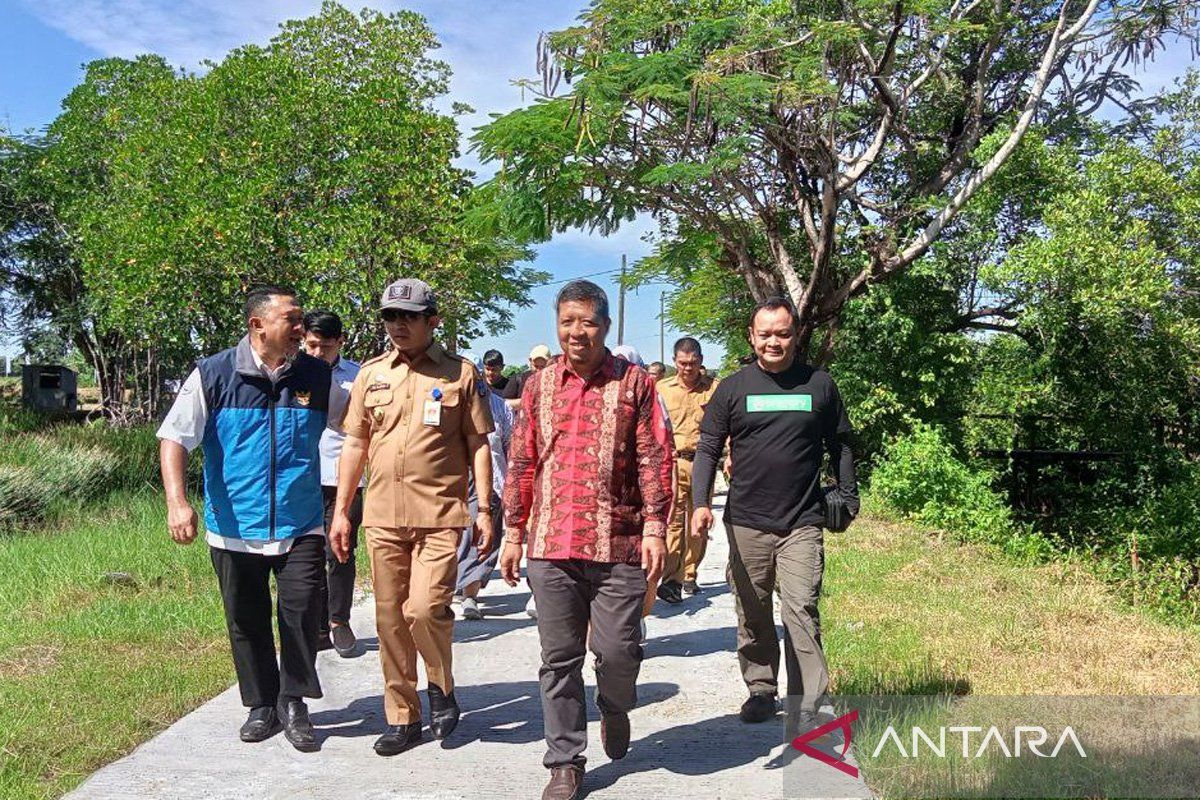 UNIDO dampingi 1.500 petani rumput laut Sulsel dalam program GQSP