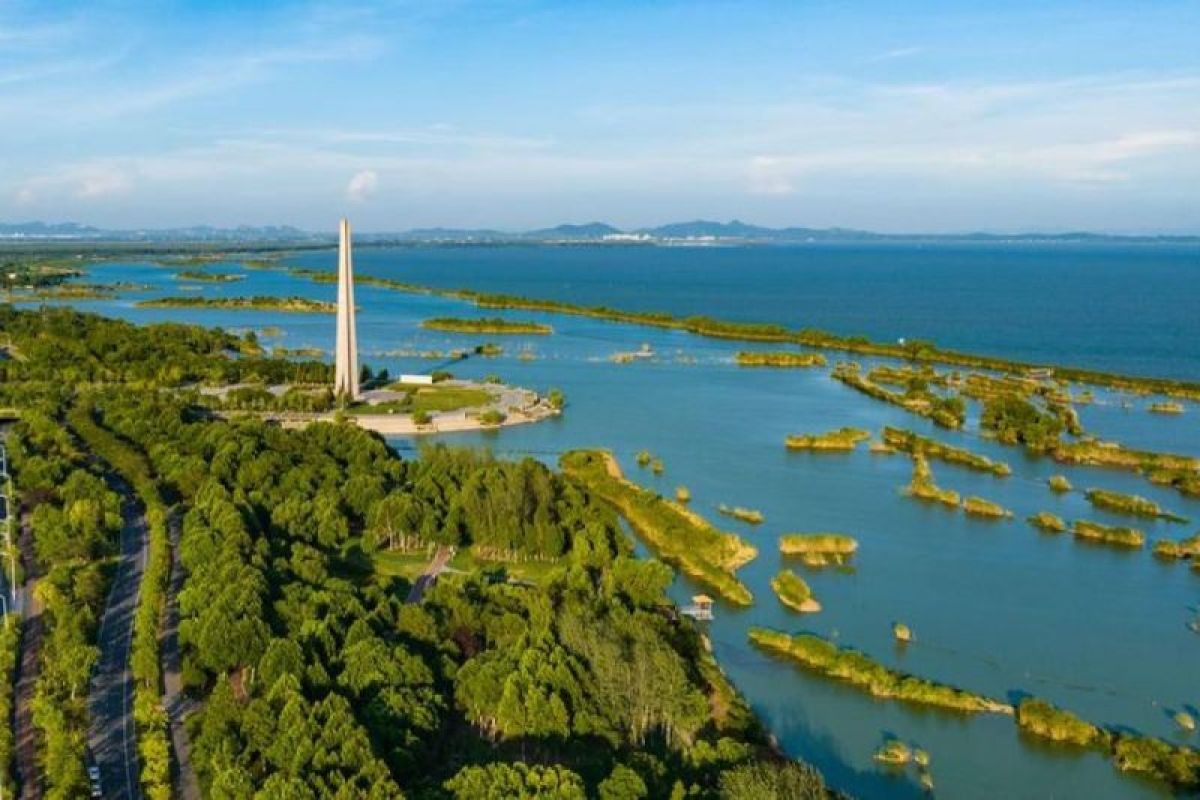 Proyek restorasi lahan basah di China timur terpilih jadi proyek percontohan PBB