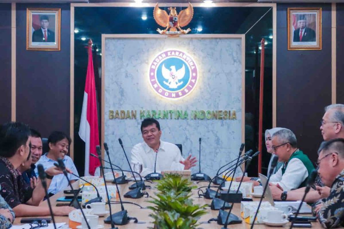 Ekspor mangga ke Jepang berpotensi Rp140 miliar dipercepat, Barantin mengawal