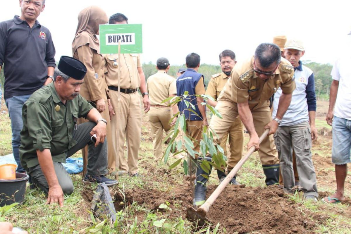 Dinas Pertanian Bulukumba beri bantuan bibit unggul kepada petani