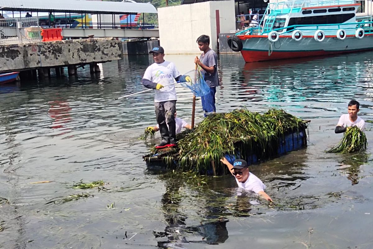 ASDP cabang Bakauheni bersihkan pantai dan laut dari sampah plastik