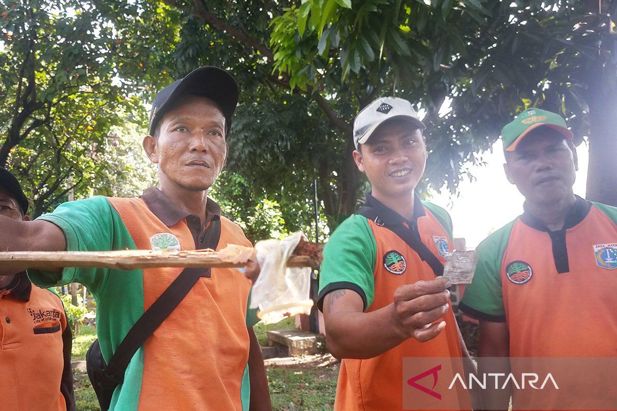 Kondom berserakan, Ruang Terbuka Hijau jadi taman pasif