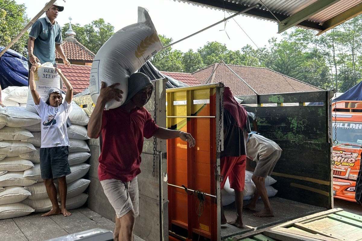 Bulog Banyumas kebut pengadaan  beras untuk bantuan pangan