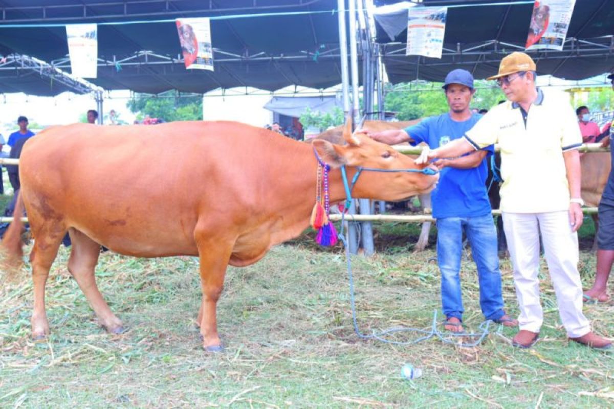 Sektor peternakan di Dompu NTB mengalami kemajuan