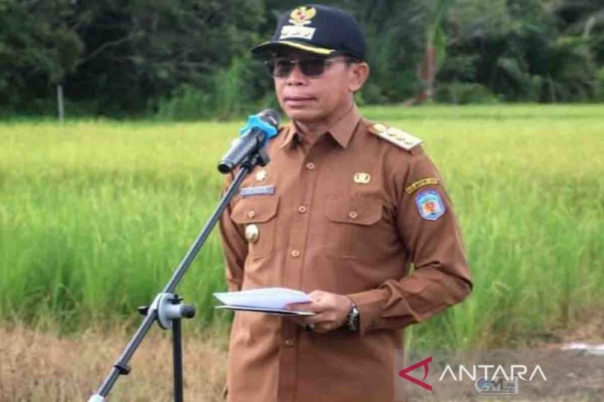 Pj Bupati komitmen jadikan Puruk Cahu sebagai pusat pertanian padi Gogo