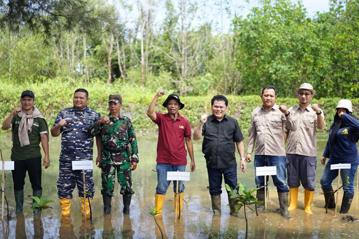 Muhammadiyah tanam 1.000 bibit mangrove, cegah abrasi di pantai selatan Jawa