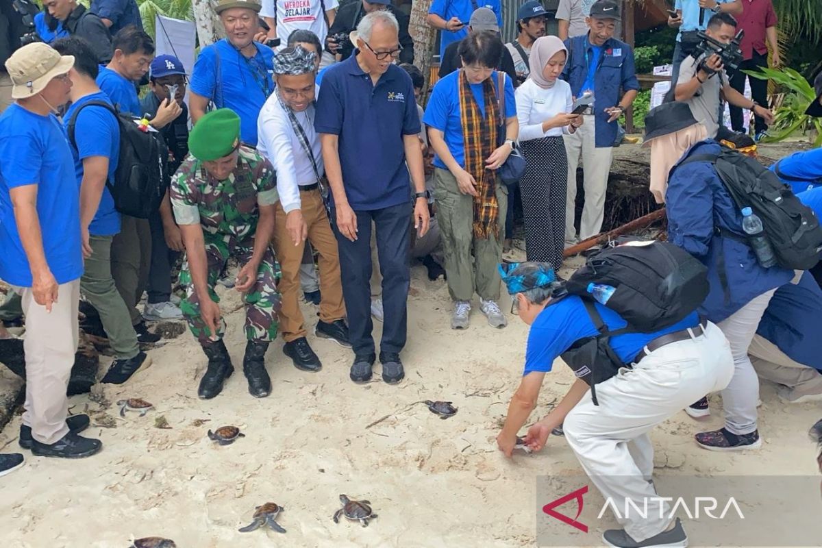 Peserta SeaBRnet lepas liar tukik di Wakatobi