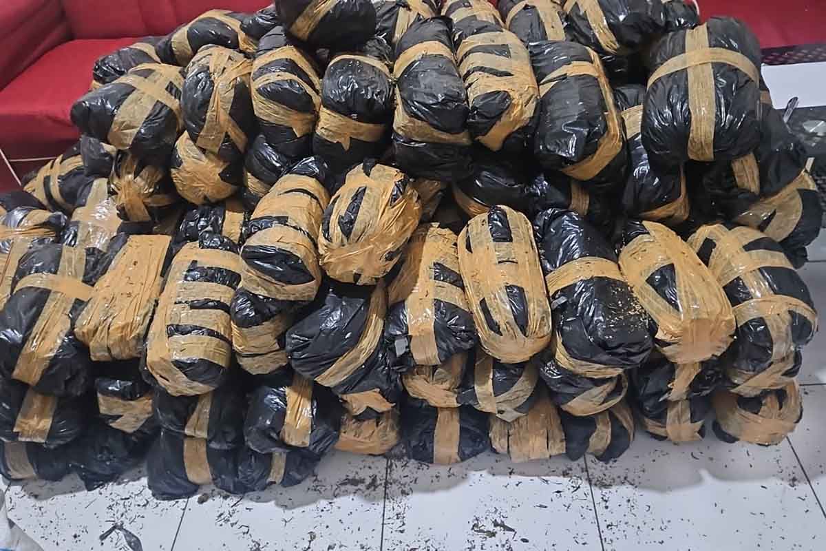 Peredaran 300 kilogram ganja berhasil digagalkan Polda Aceh