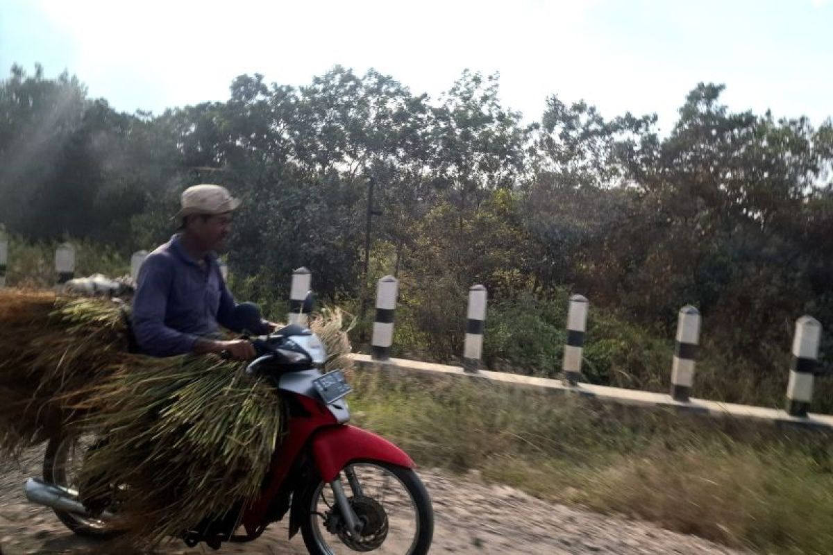 677.957 petani dapat alokasi pupuk subsidi