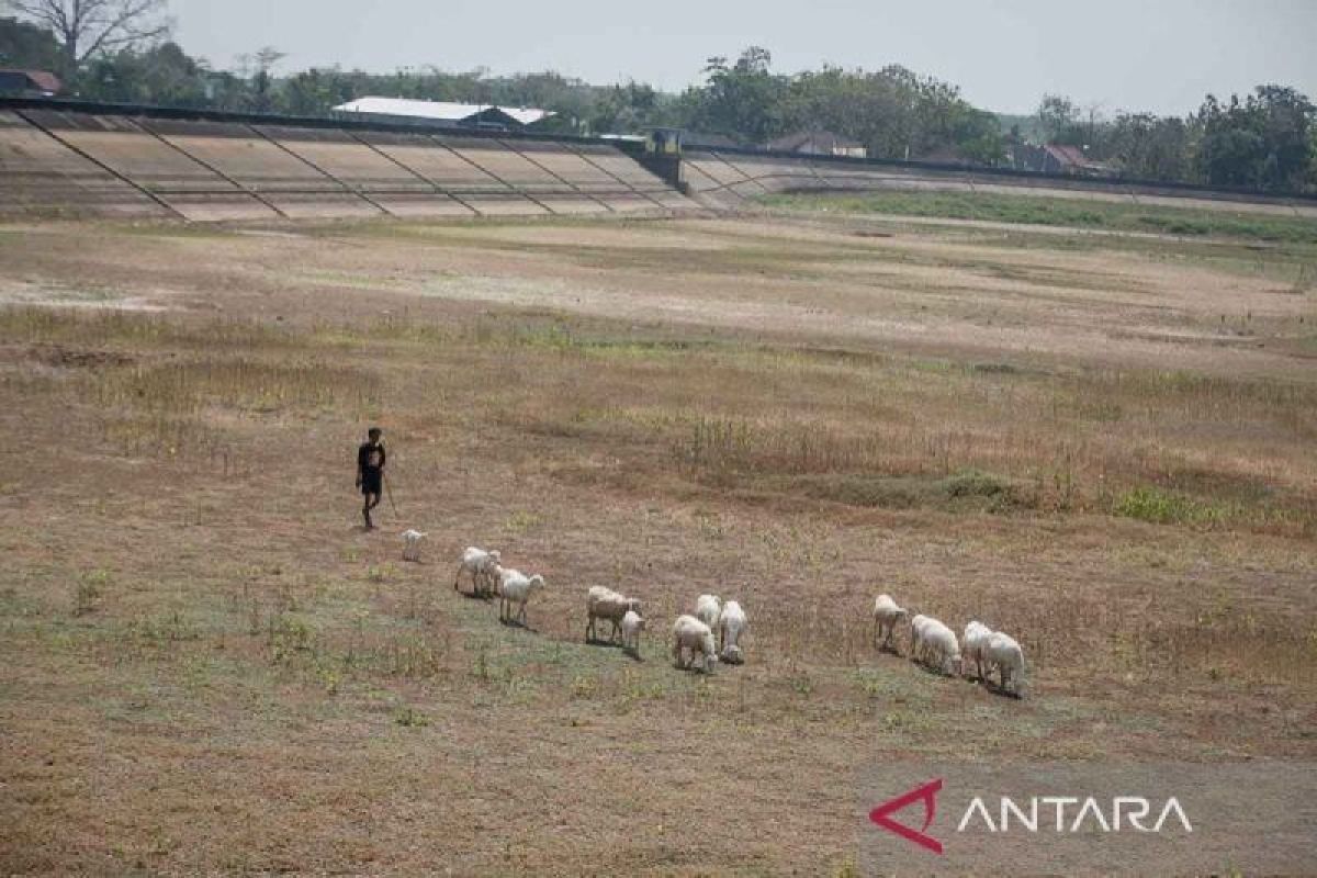 Indonesia dan dunia berkolaborasi untuk atasi krisis iklim