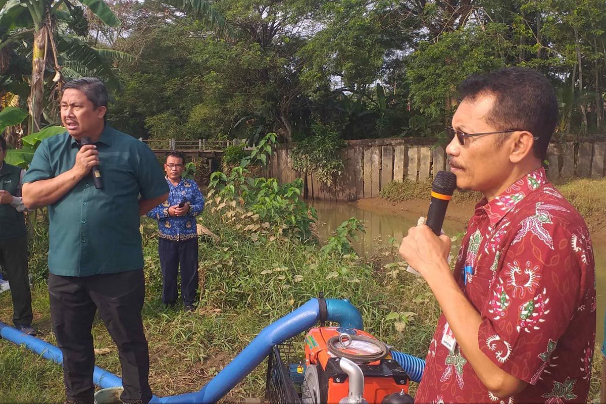 Dinpertan-KP Banyumas  sisir lahan untuk perluasan area tanam padi