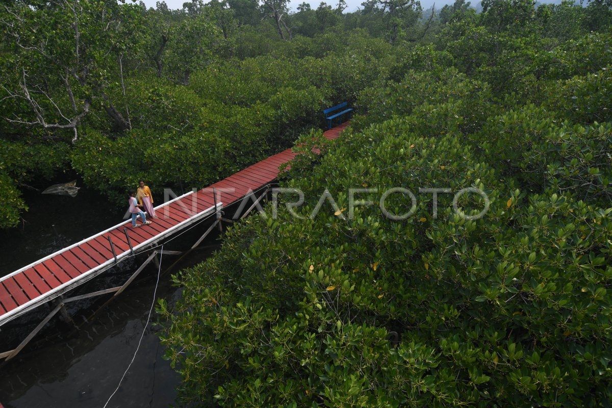 Kegiatan sederhana berbasis alam dapat meningkatkan kesehatan mental siswa