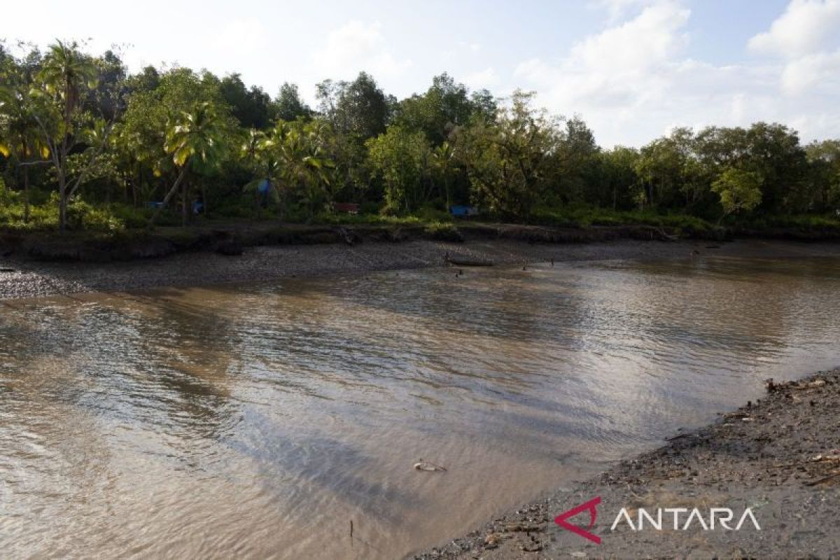 World Water Forum diharapkan lahirkan kebijakan hingga akar rumput