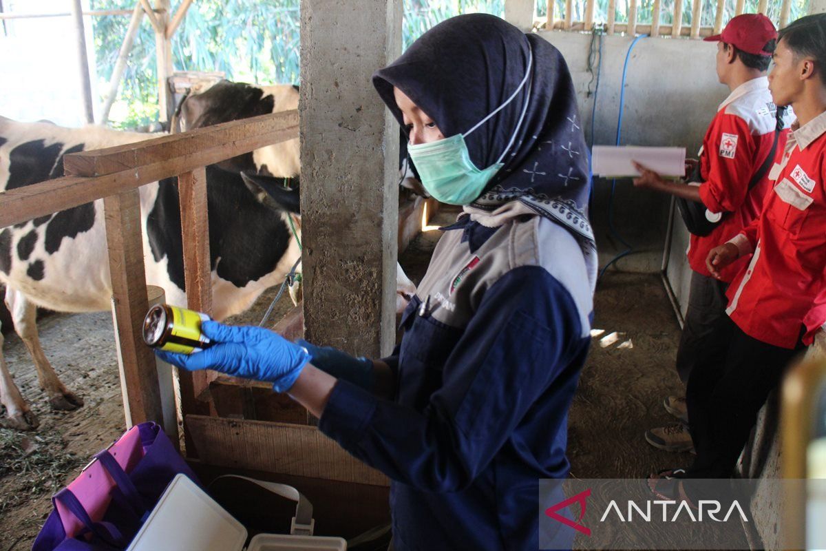 Disnakkan Boyolali perketat pengawasan hewan  kurban jelang Idul Adha