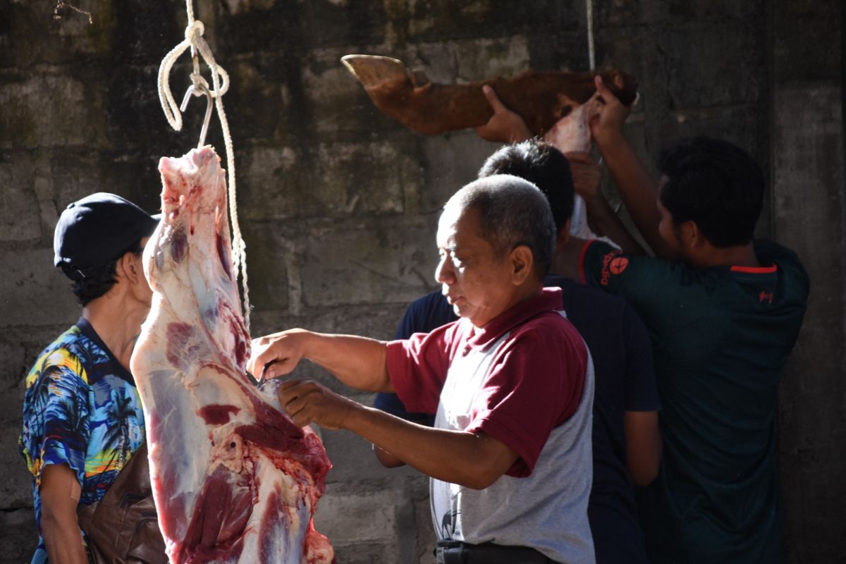 Pakar UGM mengingatkan jangan sampai mikroba tumbuh dalam daging kurban