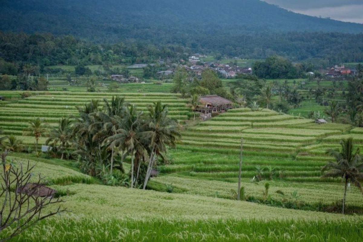 Delegasi asing dan para peserta WWF akan nikmati budaya Indonesia di World Water Forum Bali