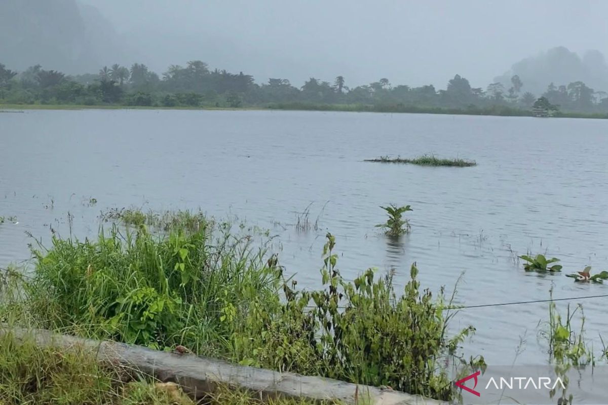 150 hektare lahan pertanian di Konawe Utara terdampak banjir