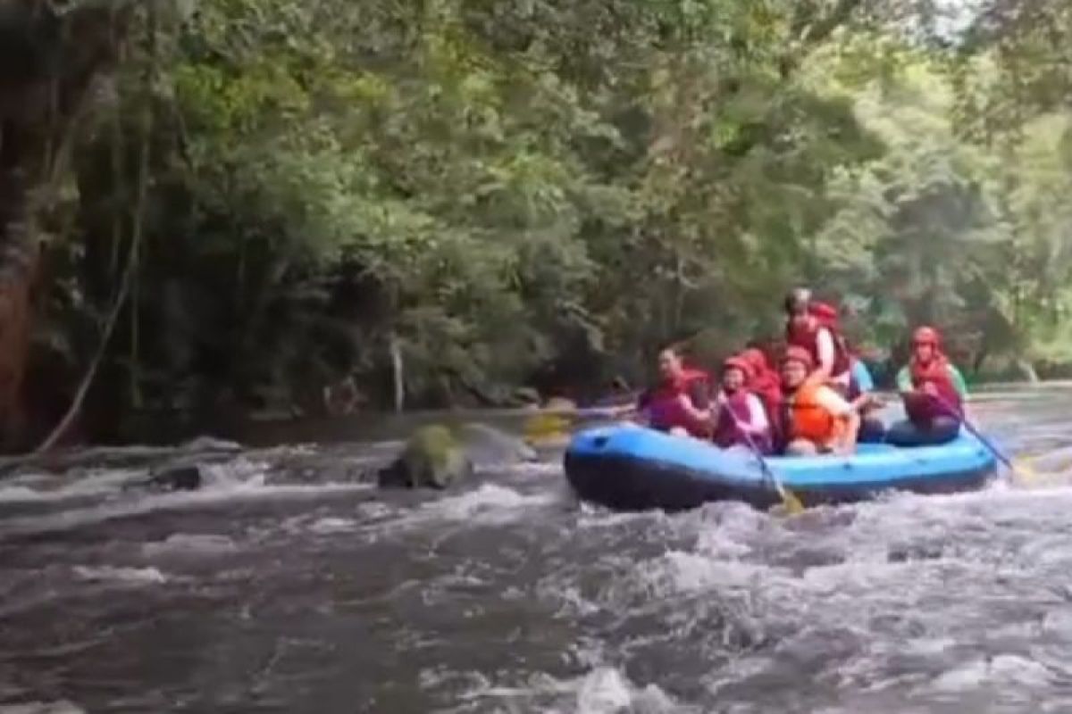 Bupati Kapuas Hulu Fransiskus Diaan berwisata arung jeram di Desa Rantau Kalis, Kecamatan Kalis, yang merupakan destinasi wisata alam di wilayah Kabupaten Kapuas Hulu, Provinsi Kalimantan Barat. ANTARA/HO-Prokopim Setda Kapuas Hulu. (Teofilusianto Timotius) Kapuas Hulu (ANTARA)