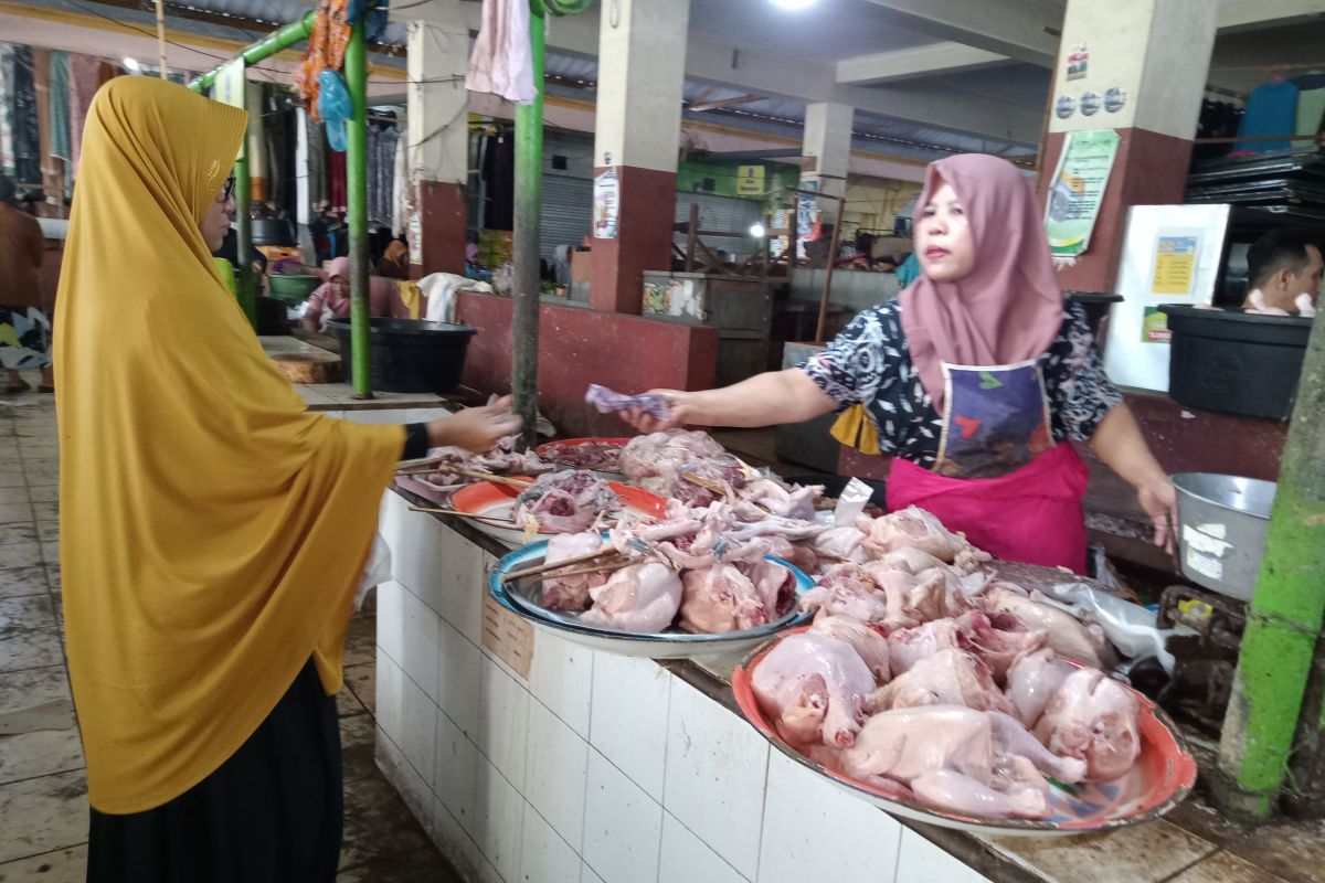 Harga ayam di Mataram mencapai Rp42.000 per Kg