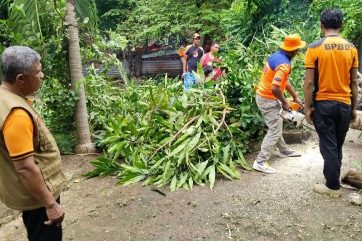 Sabu Raijua keluarkan imbauan antisipasi angin kencang