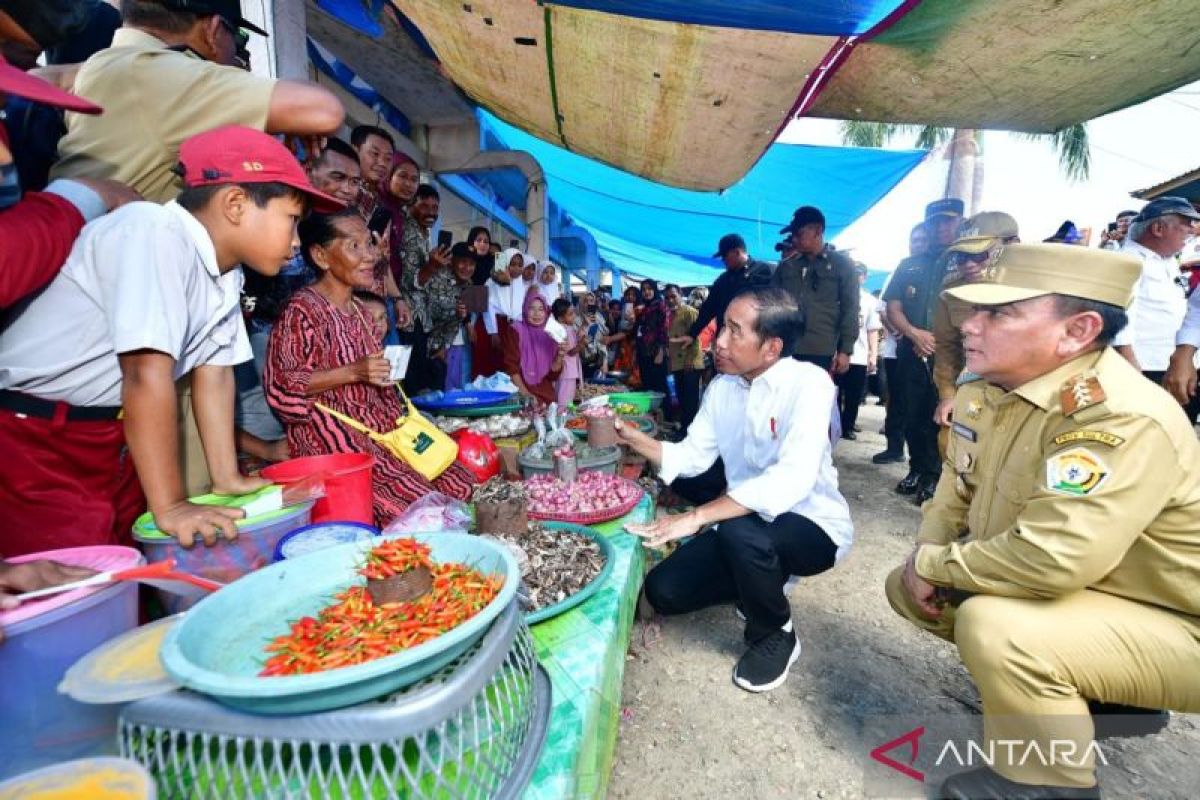 Presiden Jokowi cek ketersediaan sembako di Pasar Lacaria Kolut