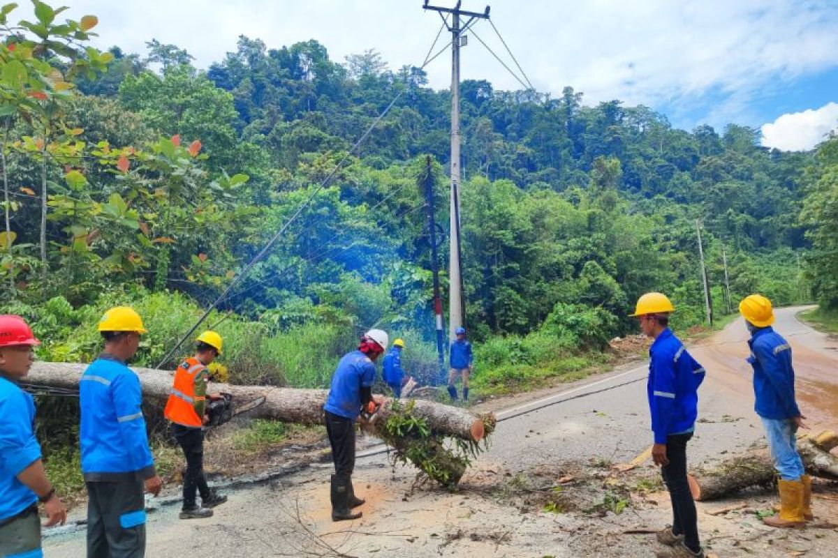 Cuaca ekstrim timbulkan gangguan serius pelayanan listrik PLN di Morut