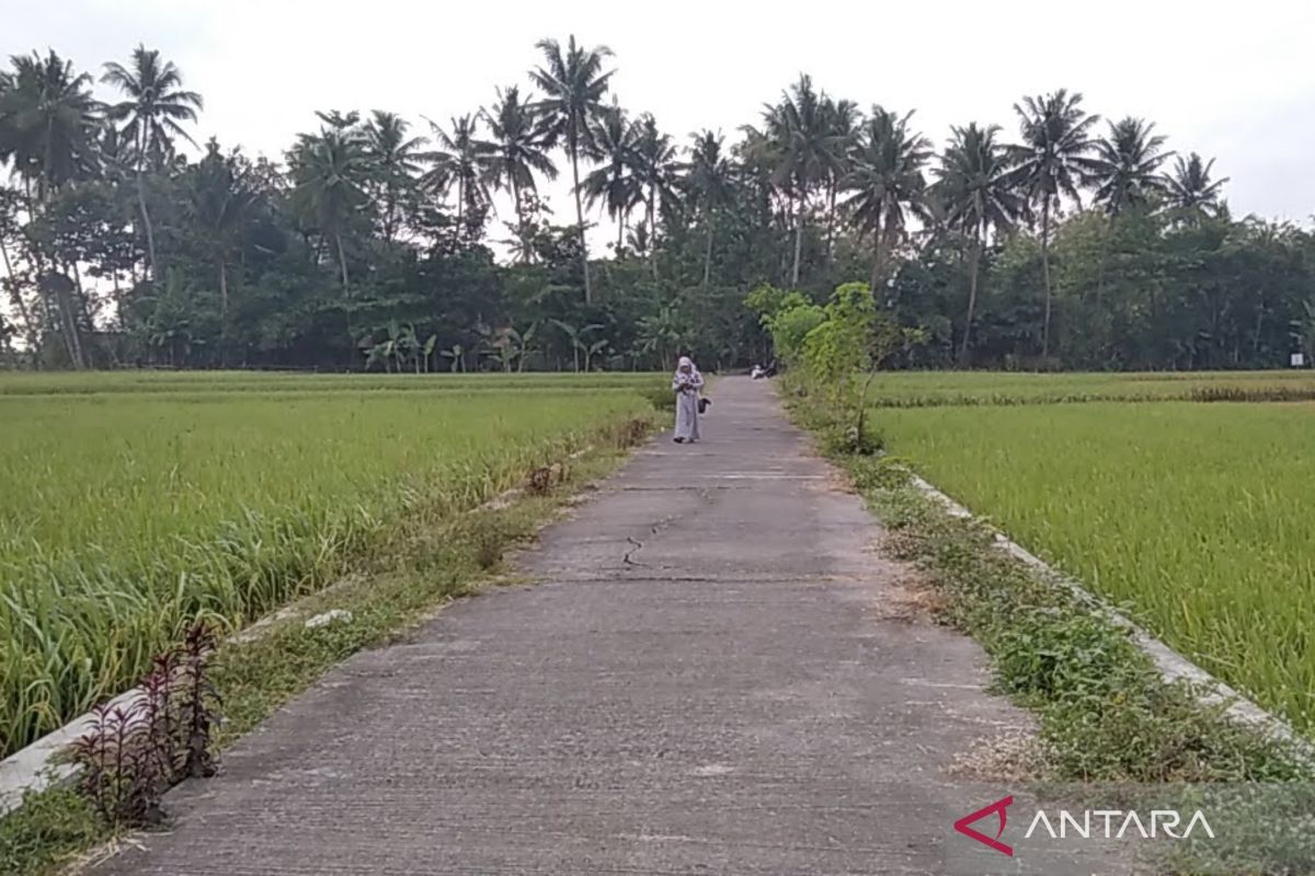 Rp70,62 M dana desa di Kabupaten Kudus telah cair