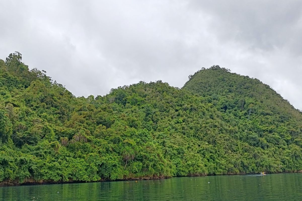 Dijadikan cagar budaya, TACB teliti Gunung Srobu, Papua