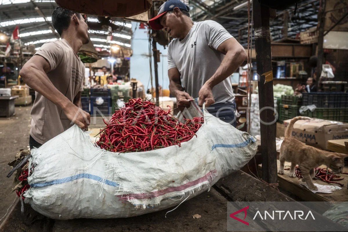 Wamendag jamin stok pangan aman