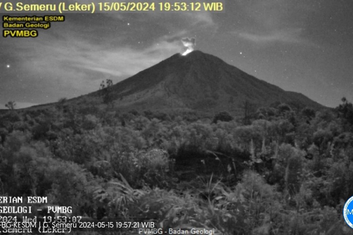 Gunung Semeru, Lumajang, Jatim, erupsi lagi