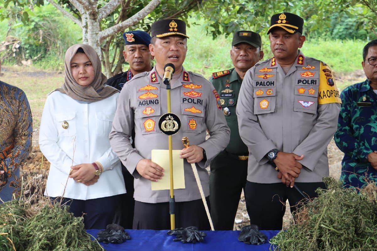 Dengan alat BRIN, Polda Sumut temukan ladang ganja