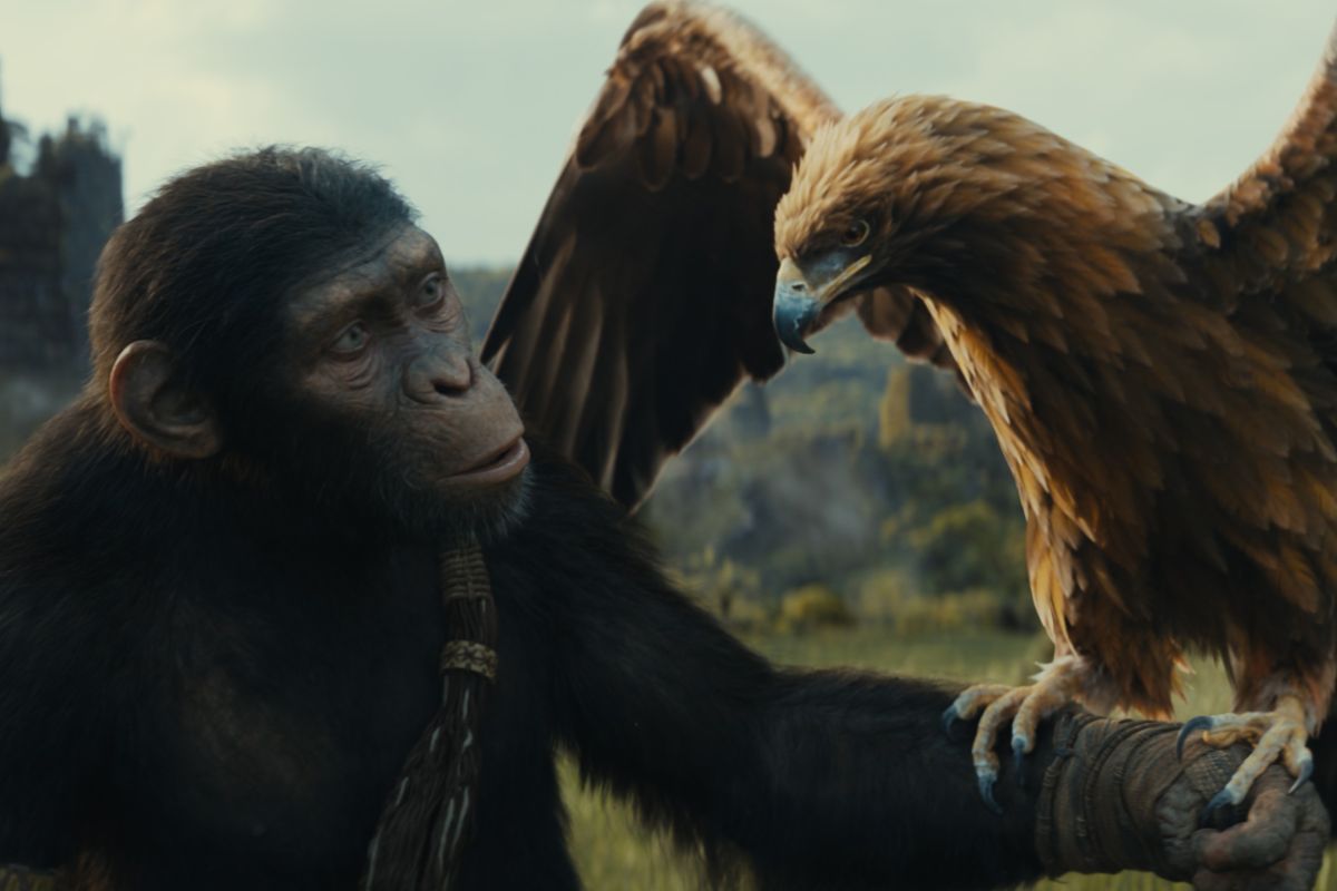 Simak lima fakta menarik "Kingdom of the Planet of the Apes"