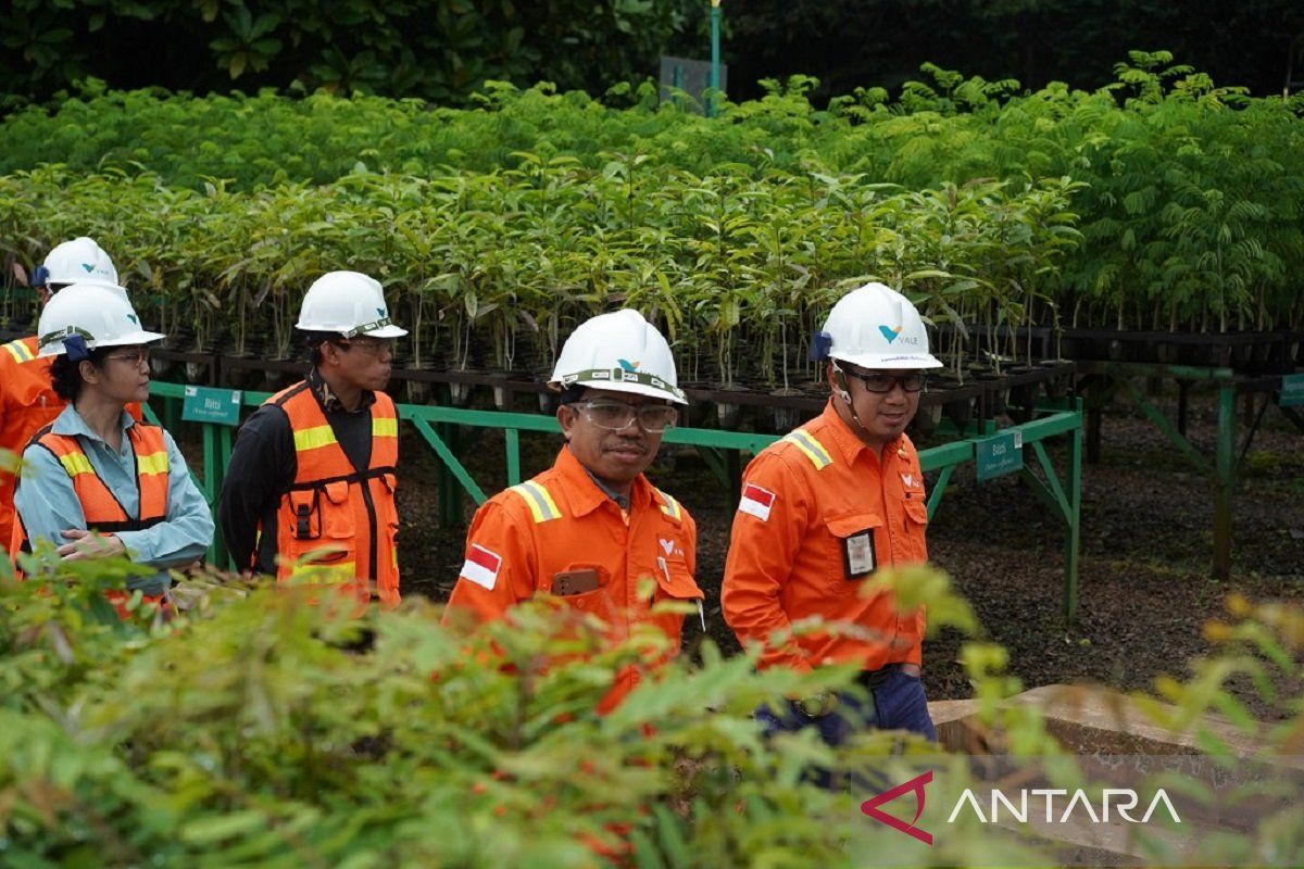 PT Vale raih perpanjangan izin Operasi