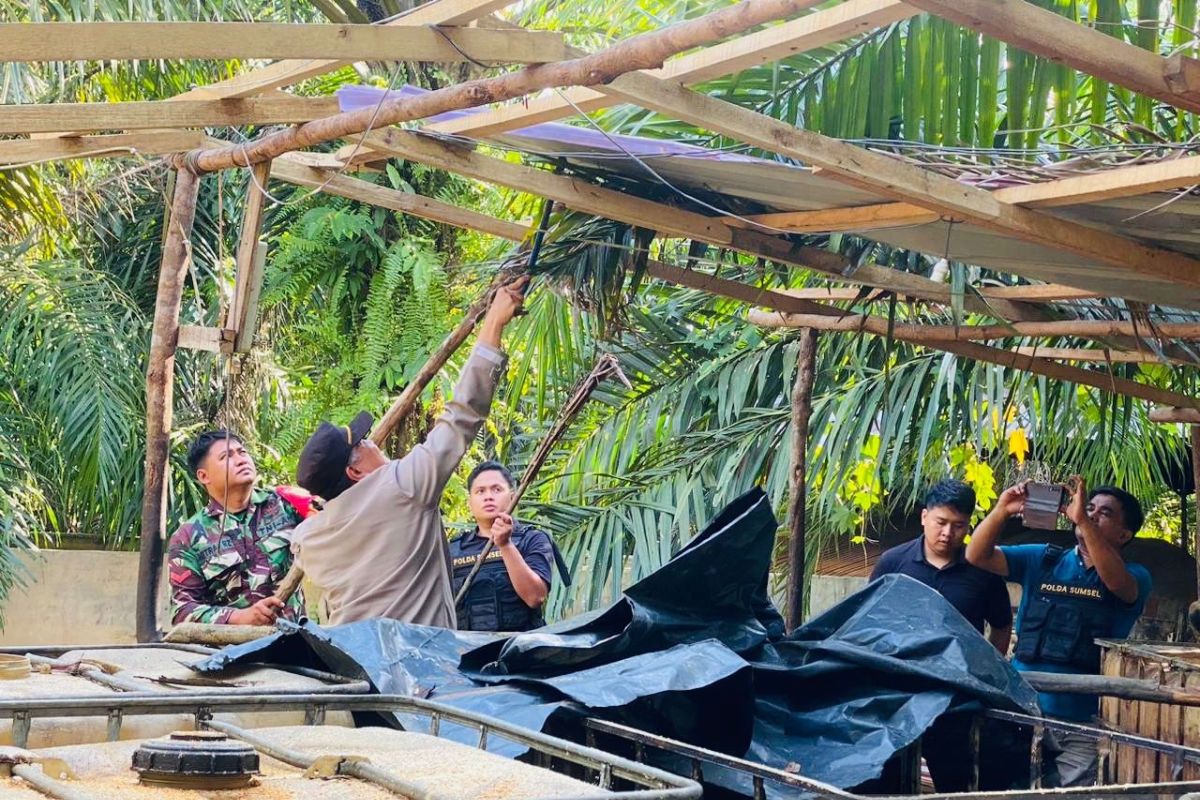 TNI dan Polri serta pemda bongkar  tempat minyak ilegal di Muba