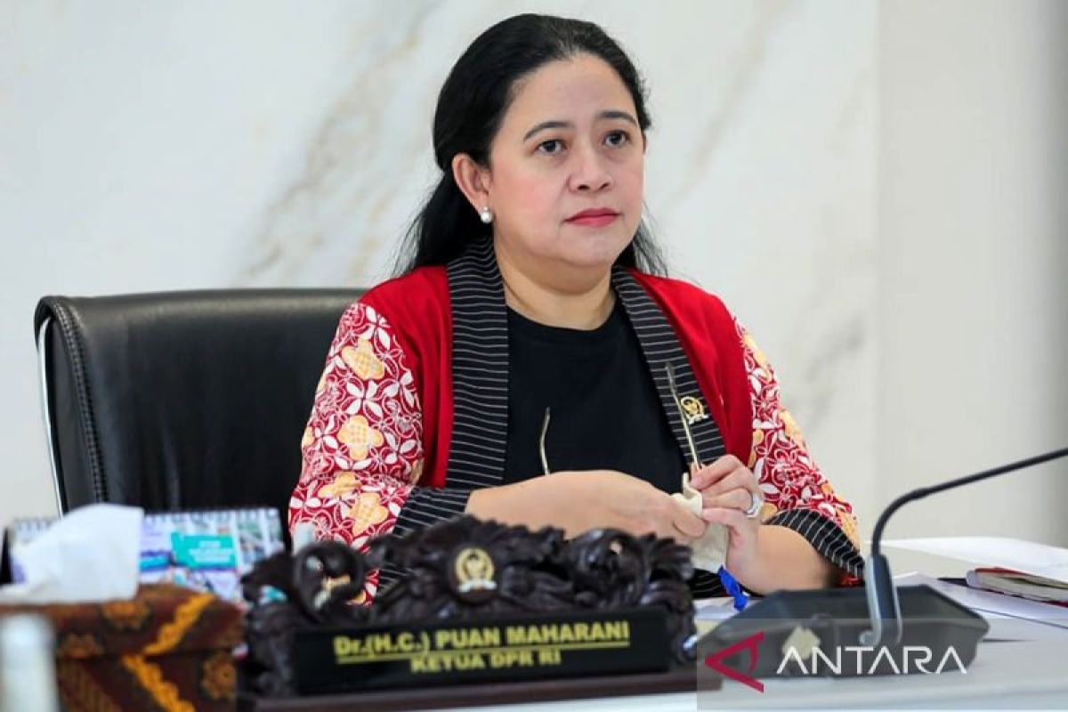 DPR sebut 36 delegasi parlemen dunia siap hadiri WWF di Bali