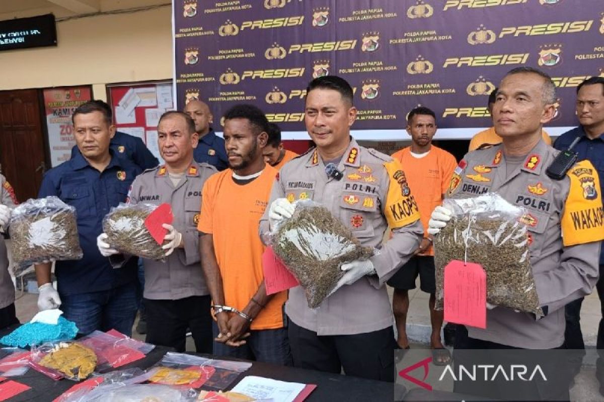 Kapolresta Jayapura akui WN PNG selundupkan 2,7 Kg ganja ditangkap di Argapura