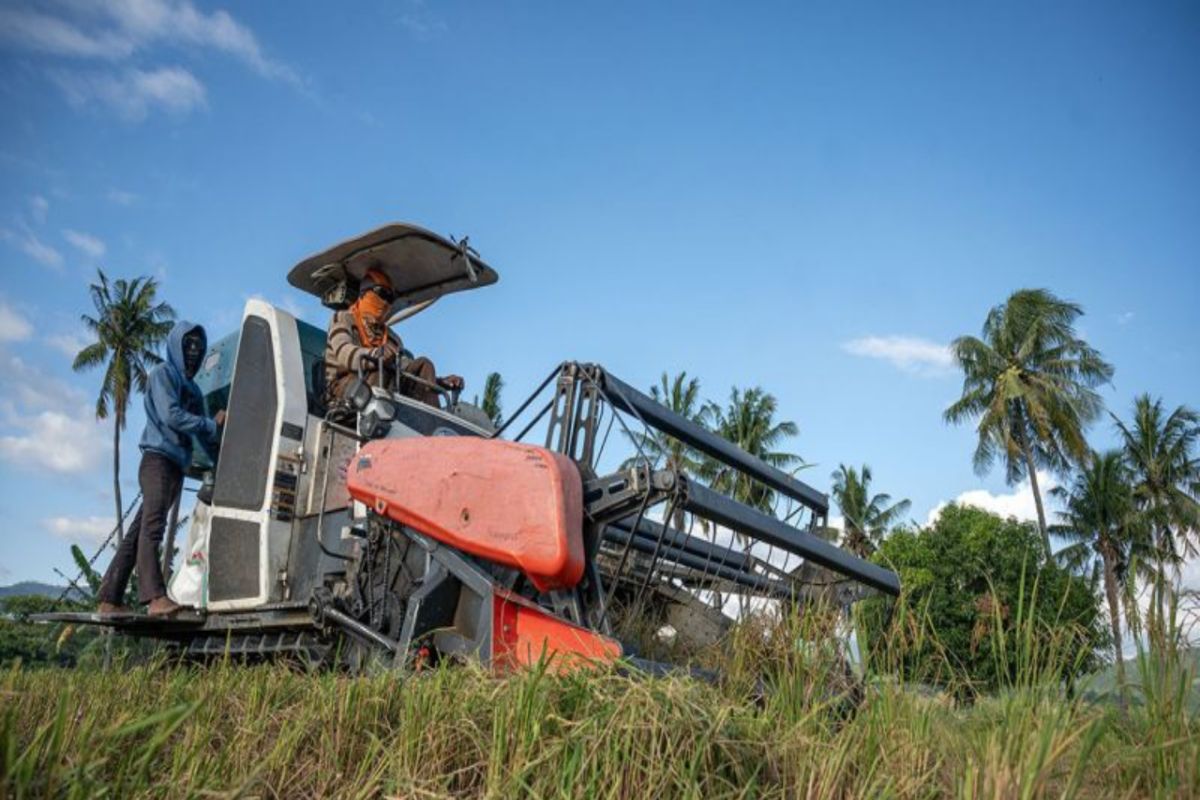 Sulteng harap 11 daerah sentra pertanian genjot produksi pangan