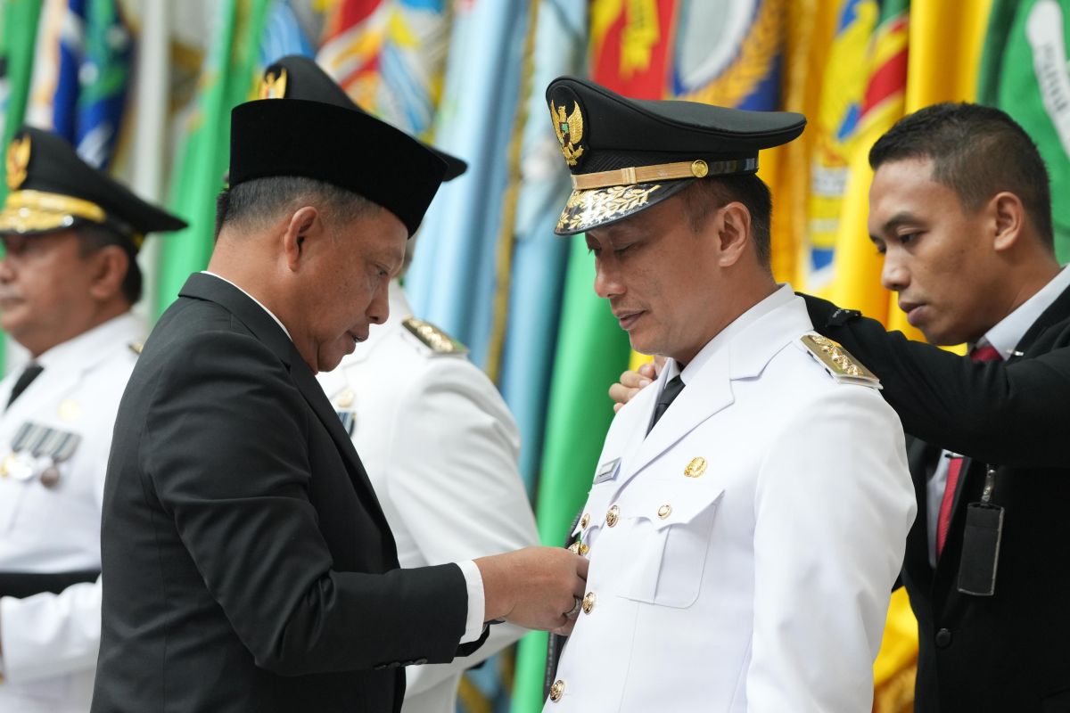 Pj Gubernur Sulsel pastikan kelanjutan program pisang cavendish