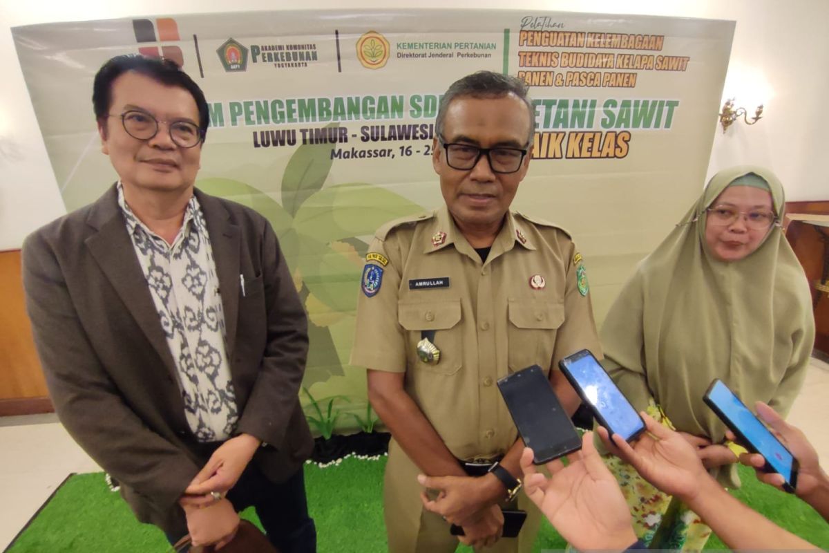 BPDPKS latih petani sawit Lutim tingkatkan produktivitas