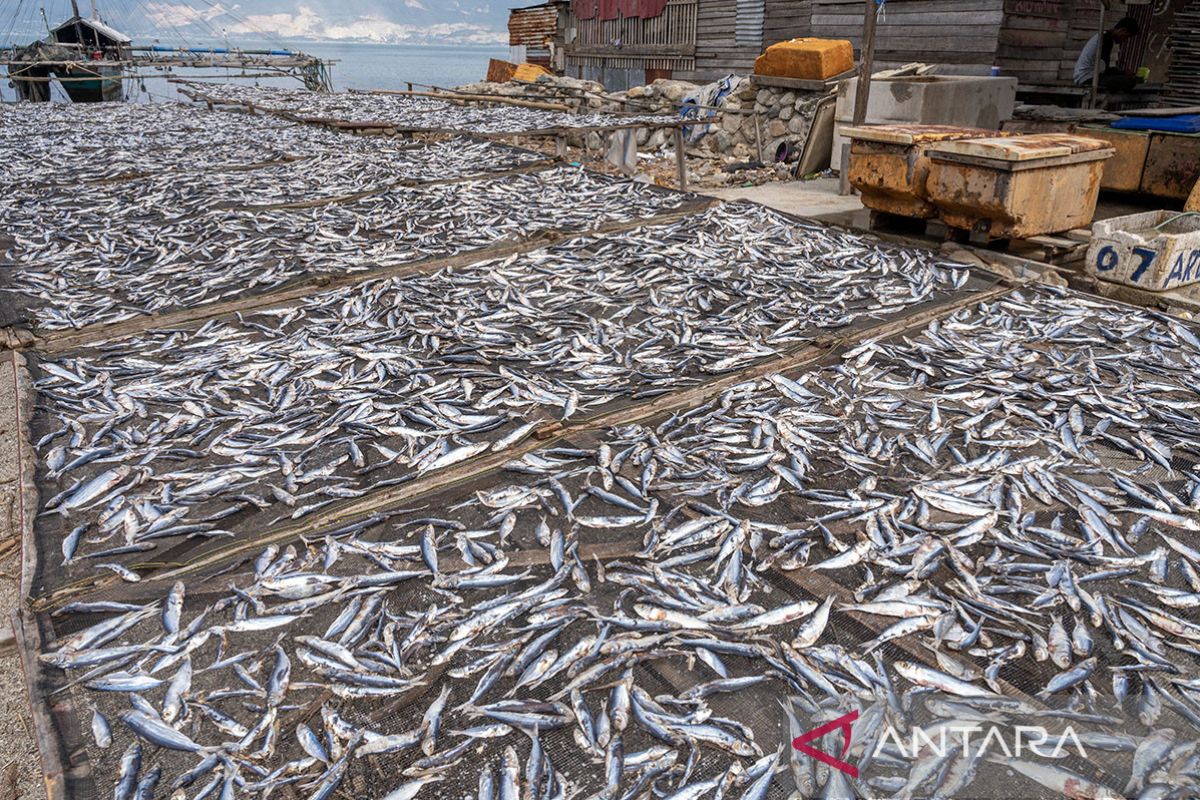 Harga ikan kering naik di Palu