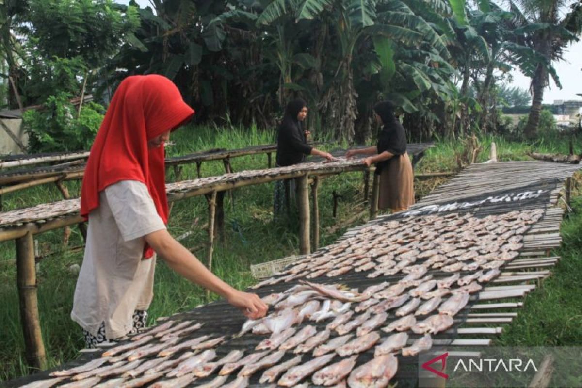 Hujan pengaruhi harga ikan naik hingga 50 persen di Bombana