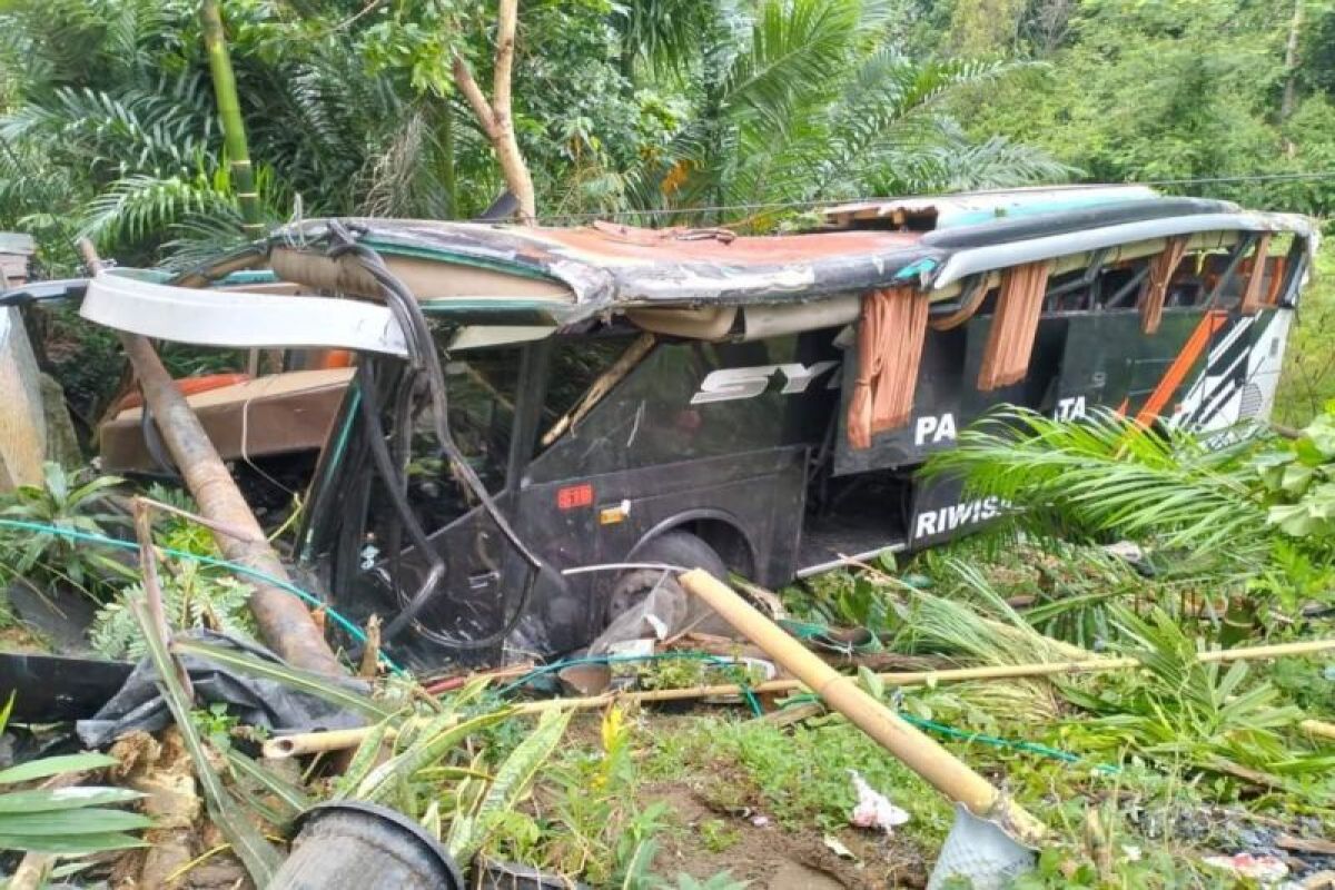 Bus masuk jurang di Tanggamus, ternyata rombongan study tour asal Sumbar