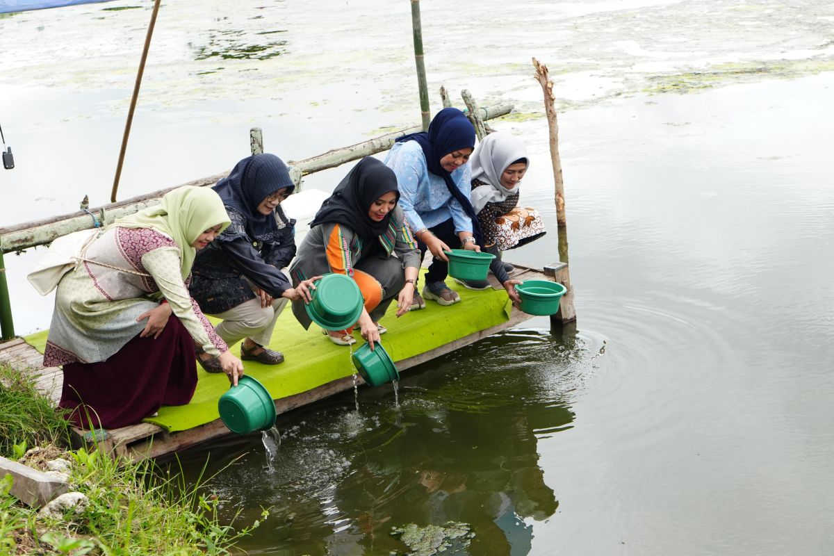 DKP: Produksi udang Sulsel triwulan I capai 15.273 ton