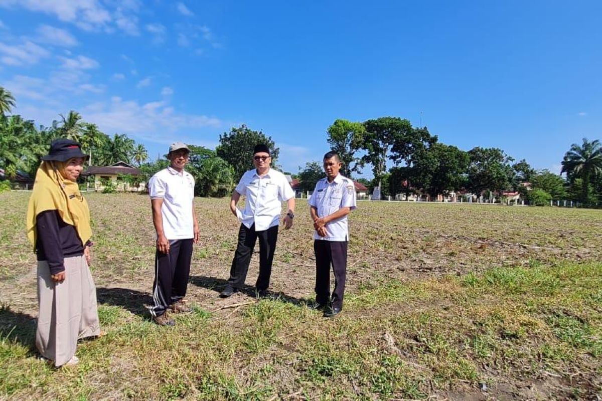 Pemkab Pasaman Barat imbau petani pakai bibit jagung unggul