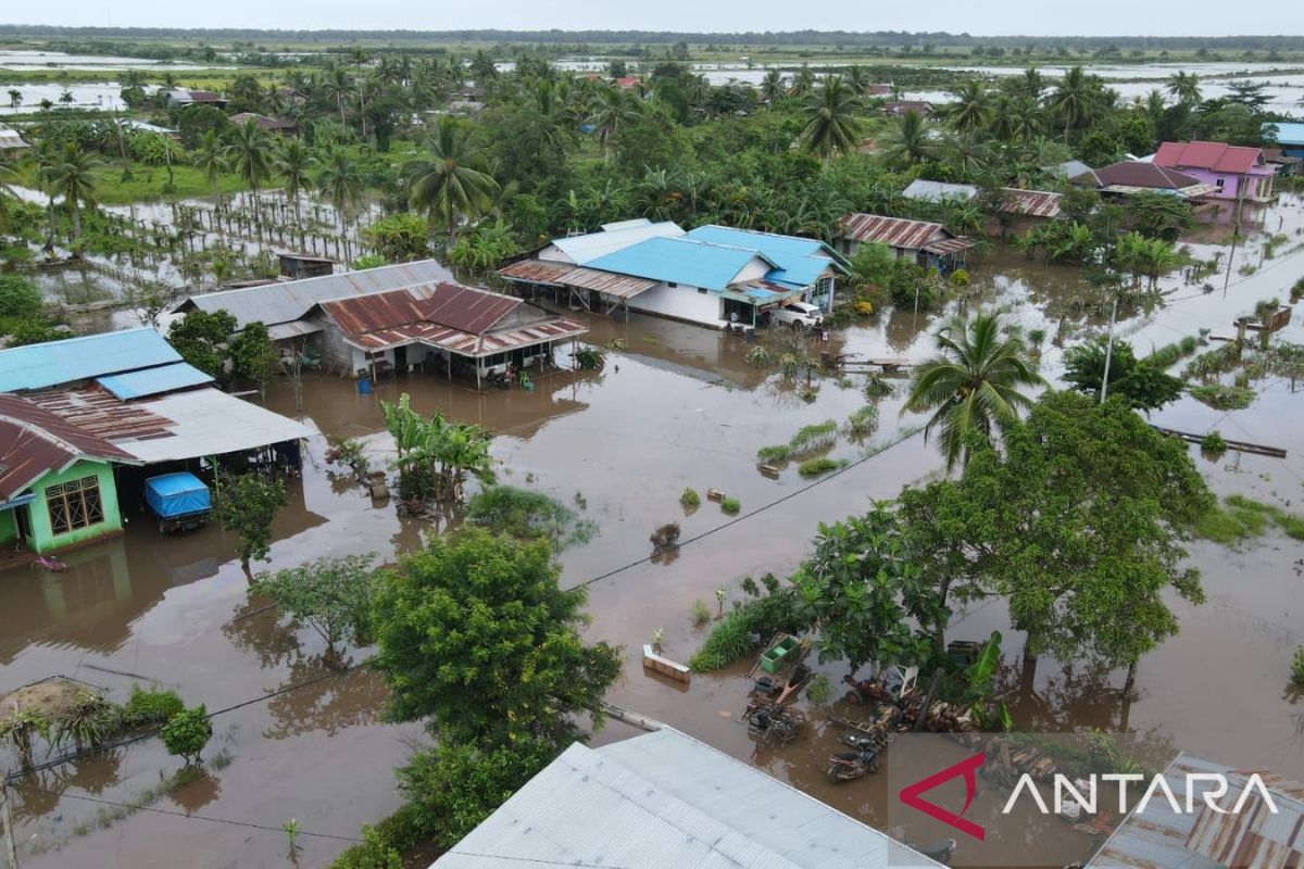 BNPB: 836 rumah di Merauke rusak akibat banjir