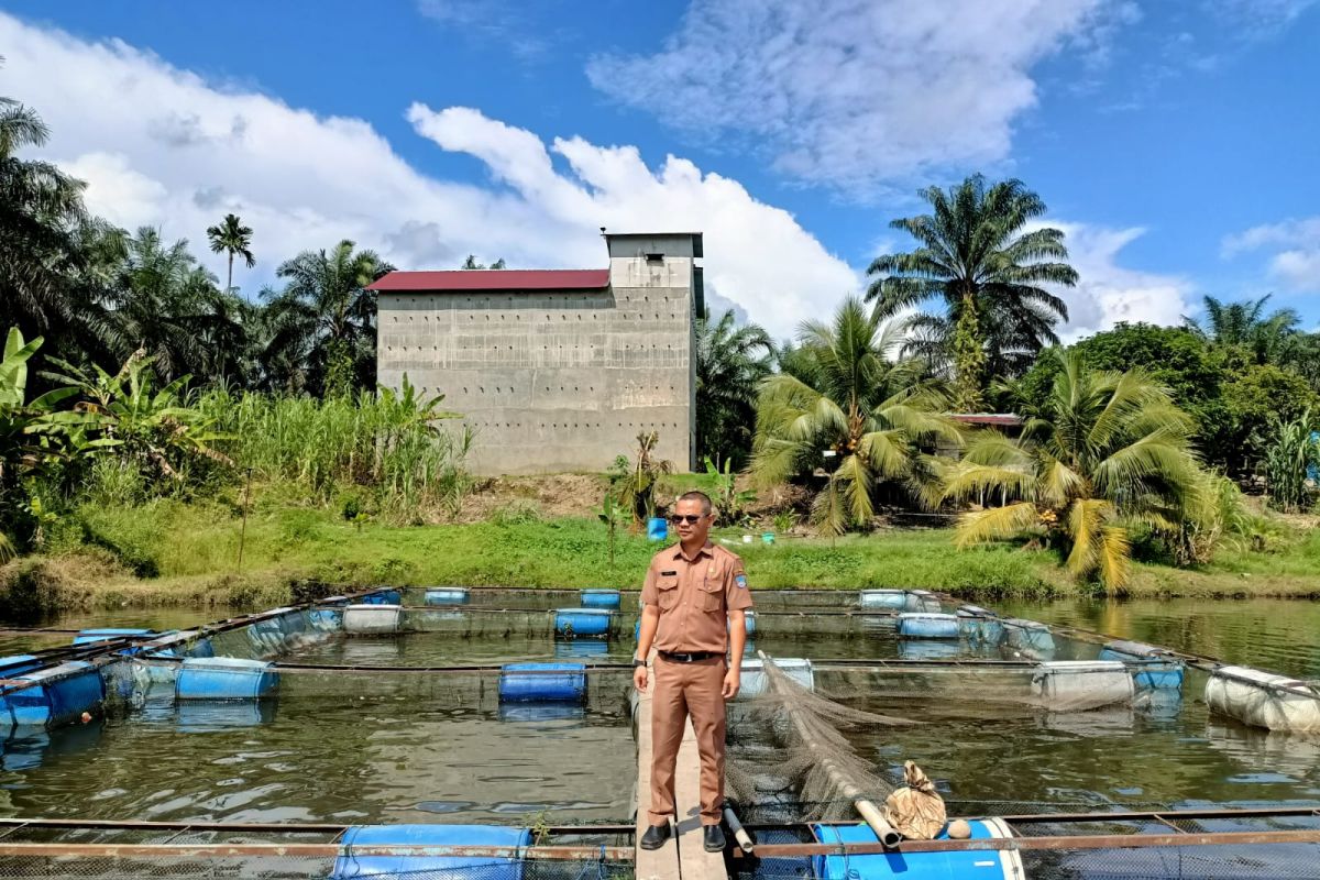 Pemkab Pasaman Barat terus kampanyekan gemar makan ikan