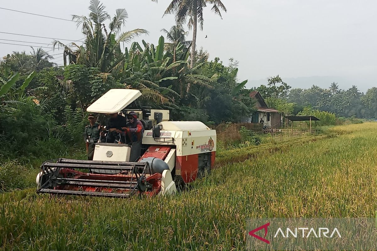 Kementan mengawal percepatan tanam padi musim tanam Mei 2024 di Bantul