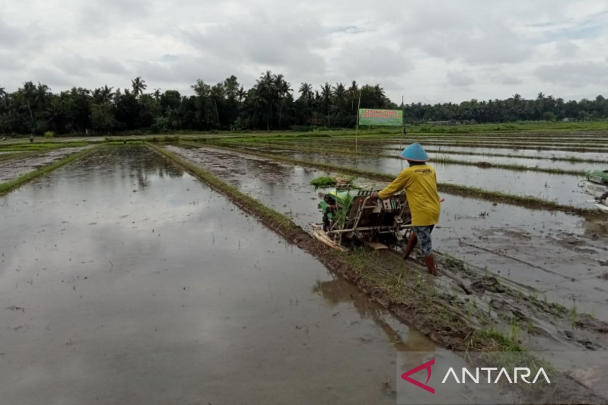 Kementan menyiapkan pompanisasi untuk daerah kering hadapi musim kemarau